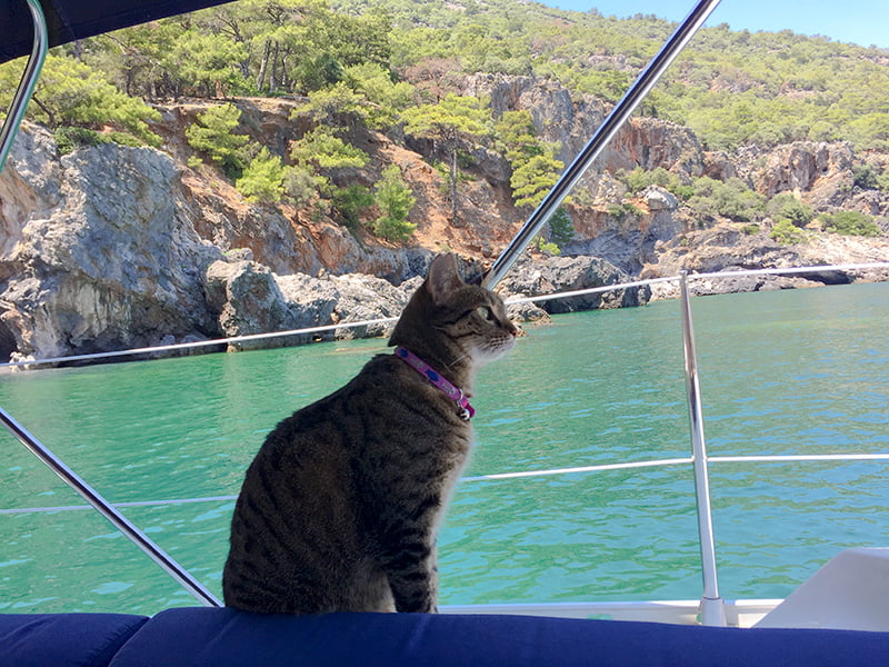 Aşı İçi Plajı